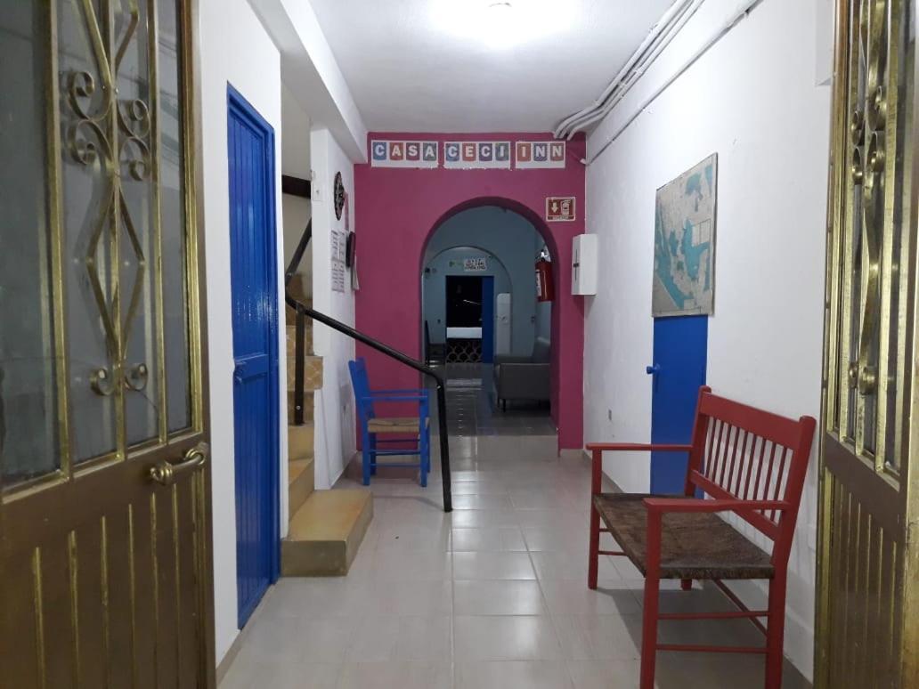 Hotel Casa Ceci Inn San Jose del Cabo Luaran gambar