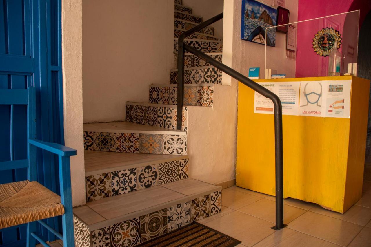 Hotel Casa Ceci Inn San Jose del Cabo Luaran gambar